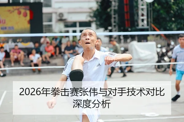 2026年拳击赛张伟与对手技术对比深度分析