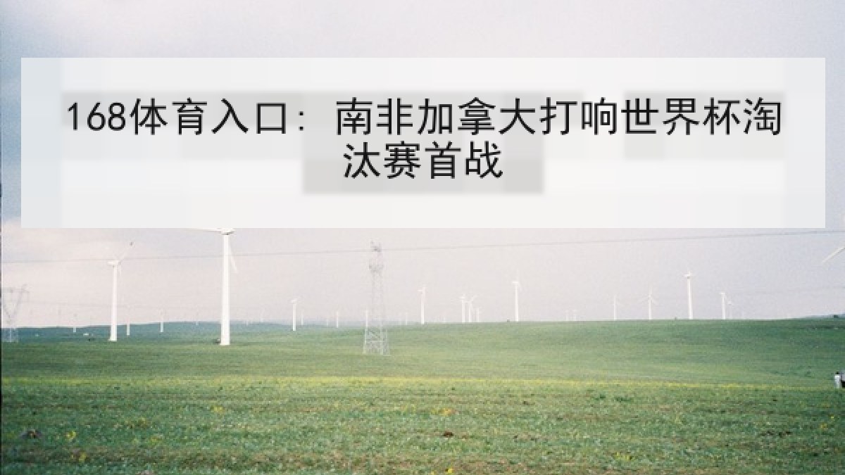 168体育入口: 南非加拿大打响世界杯淘汰赛首战